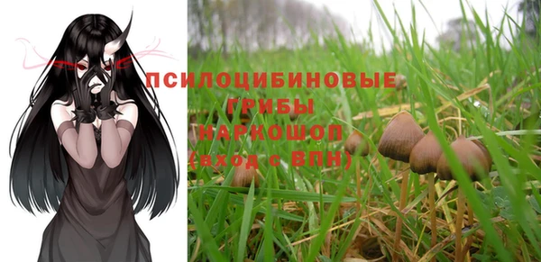 ешки Костерёво