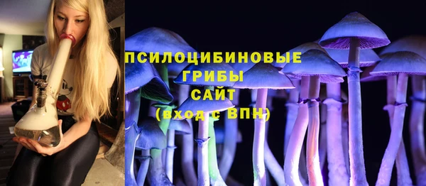 ешки Костерёво