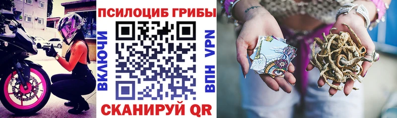 Галлюциногенные грибы прущие грибы Купить закладки Липки